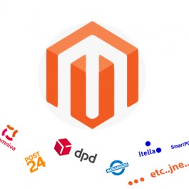 Northern European module for sending batch information for small parcels